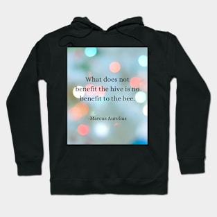 Stoic Wisdom: Bee's Lesson in Maximizing Benefits Hoodie